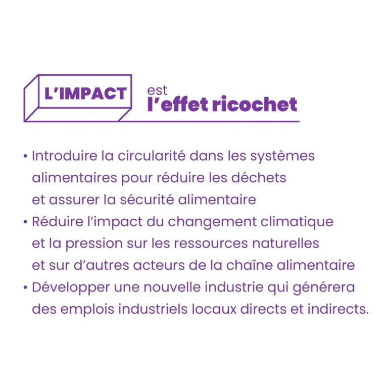 ImpactTxt_FR