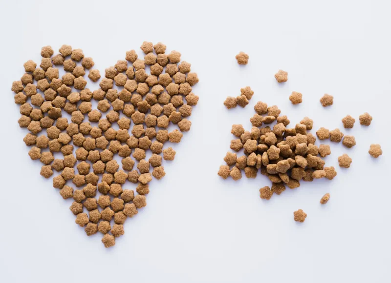 Kibble Coating