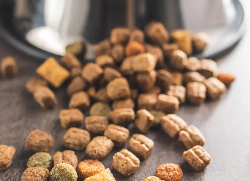 Kibbles